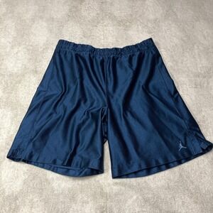 Vintage Jordan Dazzle Basketball Shorts XL Shiny Jumpman Ribbed Grid Baggy Y2K